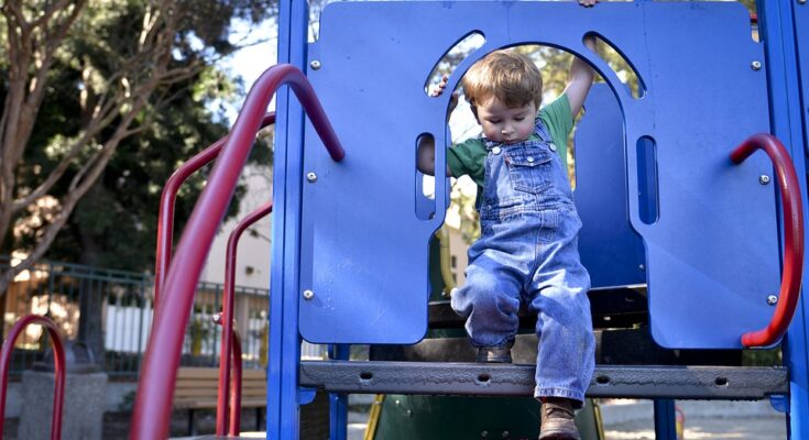 Backyard Play Area Creation Tips for the Entertainment of Your Kids