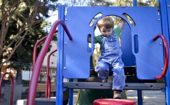 Backyard Play Area Creation Tips for the Entertainment of Your Kids
