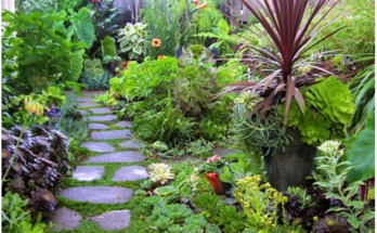 Eco-Friendly Garden